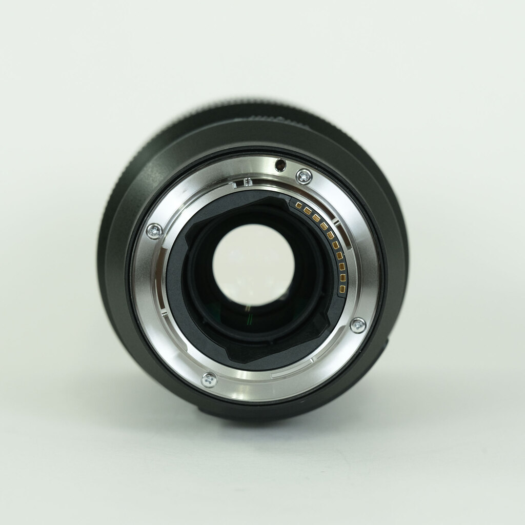 SONY FE 100mm F2.8 Macro GM OSS SEL100M28GM