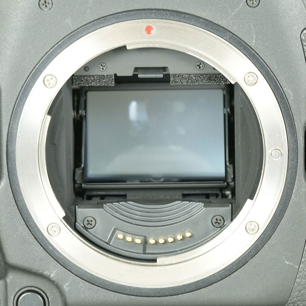 Canon EOS-1D X Mark II