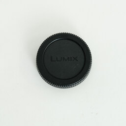 Panasonic LUMIX G X VARIO 35-100mm F2.8 POWER O.I.S. H-HS35100