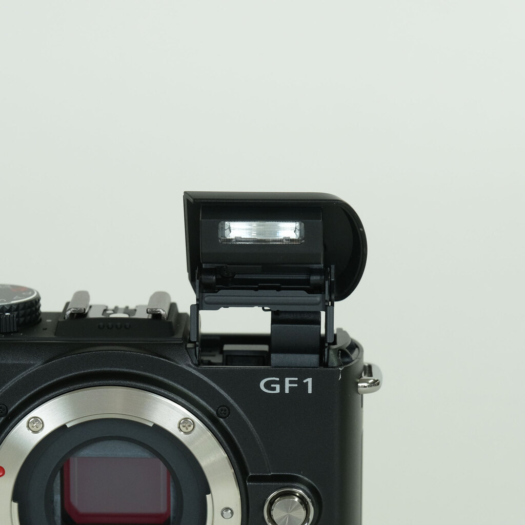 Panasonic LUMIX DMC-GF1-K エスプリブラック