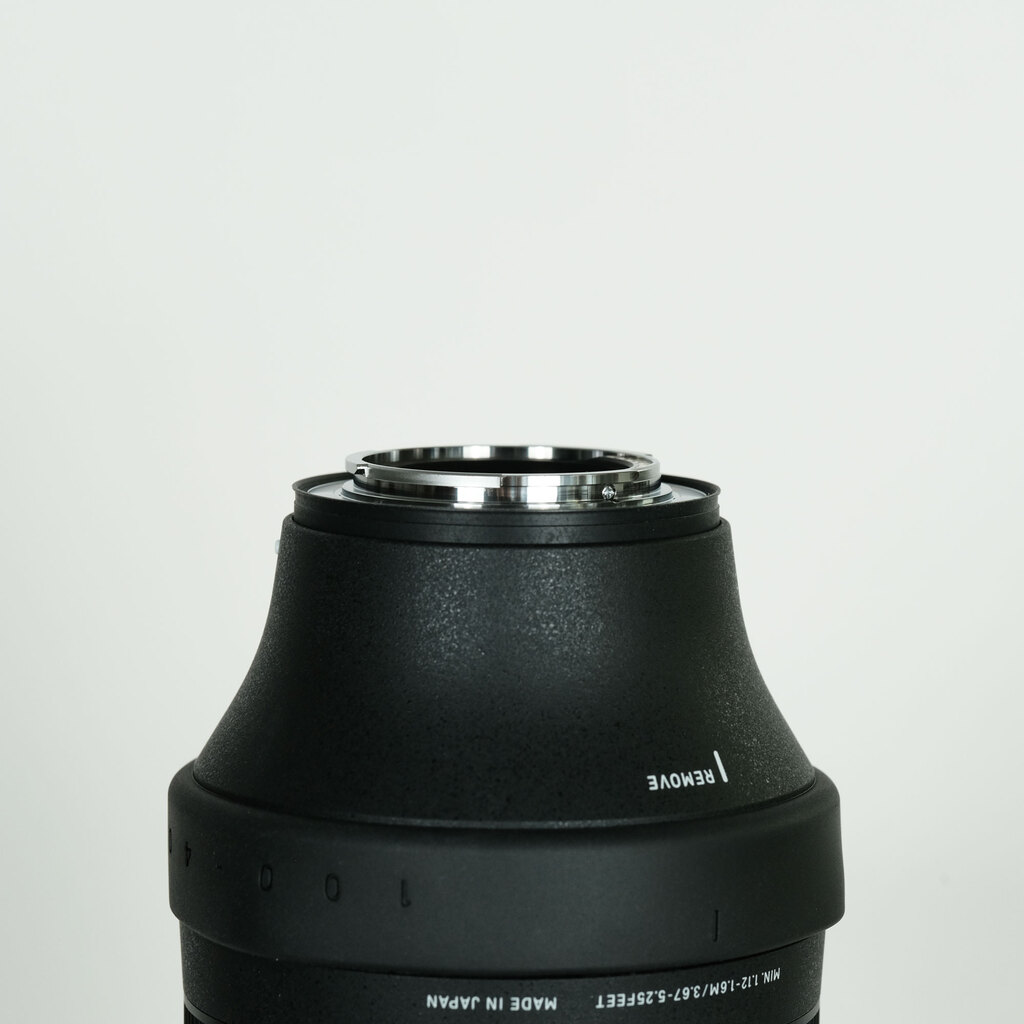 SIGMA 100-400mm F5-6.3 DG DN OS｜Contemporary［フジフイルムX用］