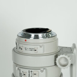 Canon EF100-400mm F4.5-5.6L IS USM