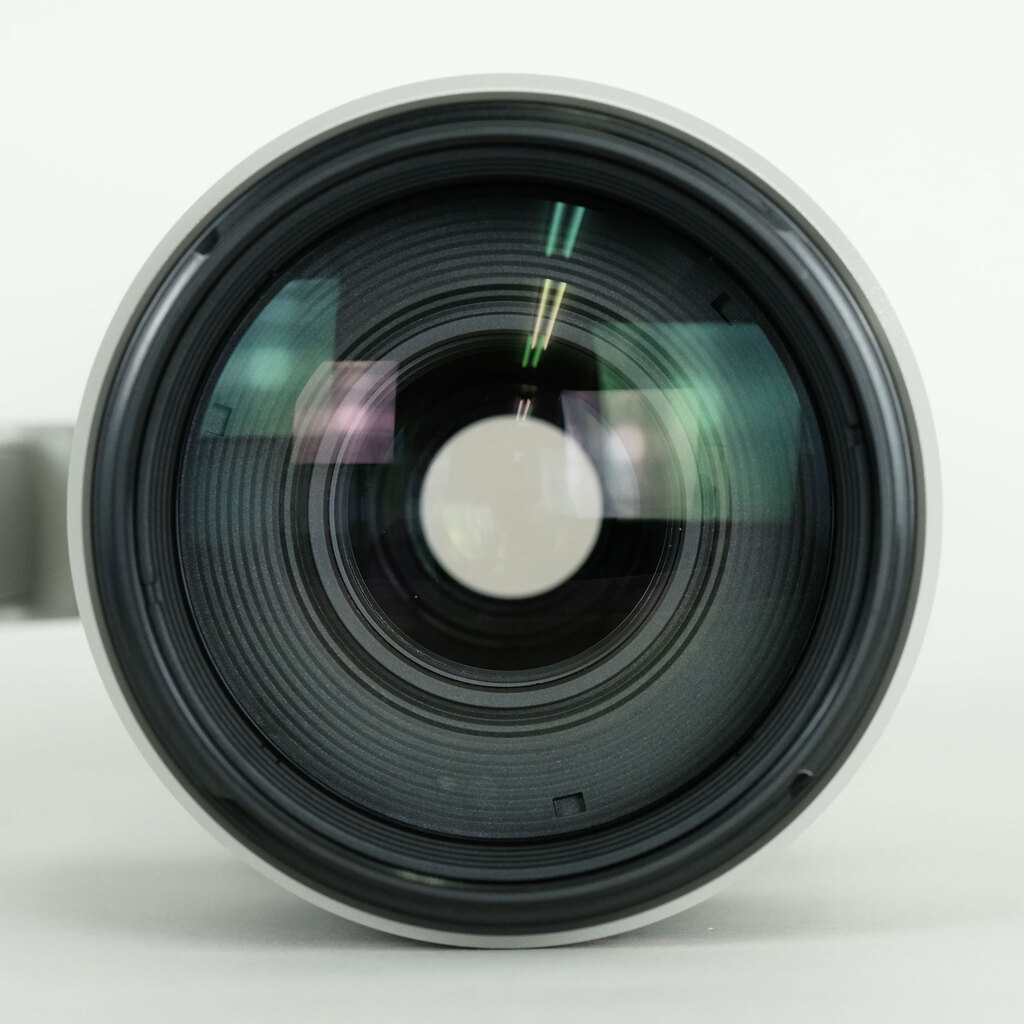 Canon EF100-400mm F4.5-5.6L IS II USM