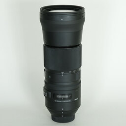 SIGMA 150-600mm F5-6.3 DG OS HSM｜Contemporary [ニコンF用]