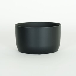 Carl Zeiss Touit 50mm F2.8 マクロ（ソニーE用）