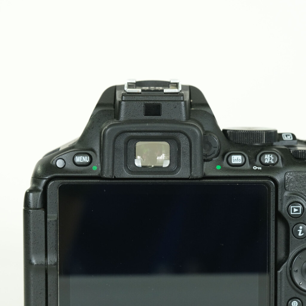 Nikon D5500