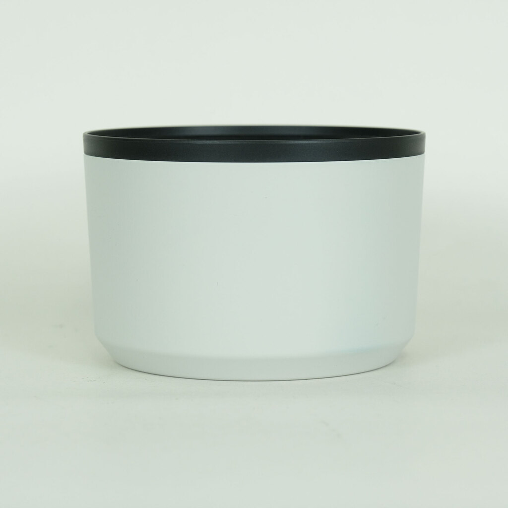 Canon RF100-500mm F4.5-7.1L IS USM