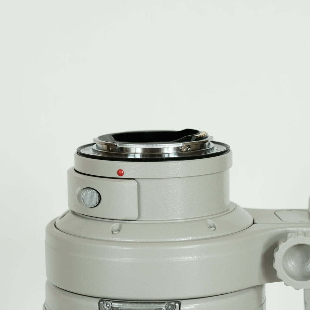Canon EF300mm F2.8L IS USM