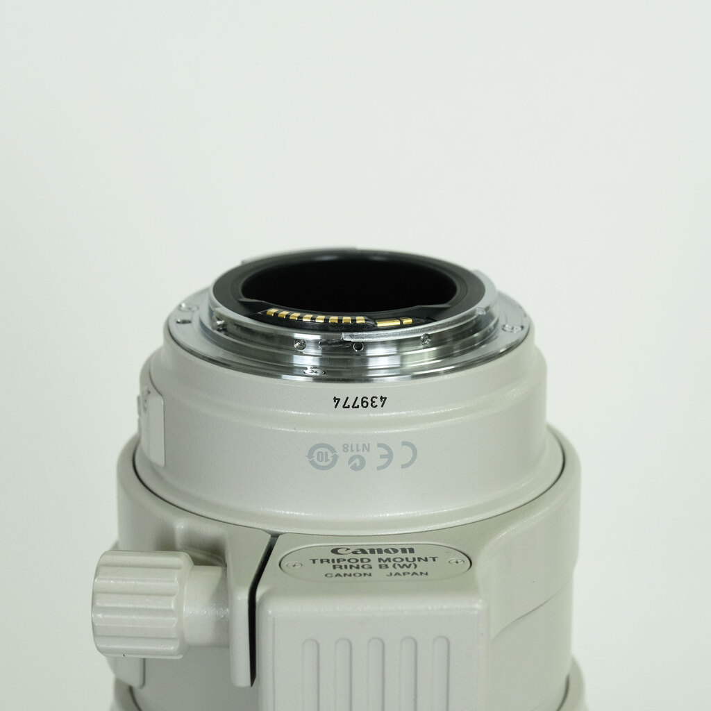 Canon EF100-400mm F4.5-5.6L IS USM