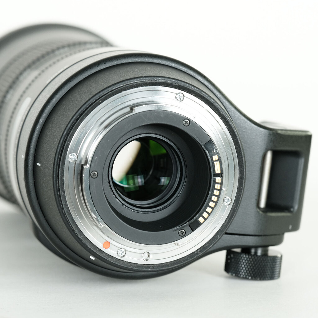 SIGMA 150-600mm F5-6.3 DG OS HSM | Contemporary [キヤノンEF用]