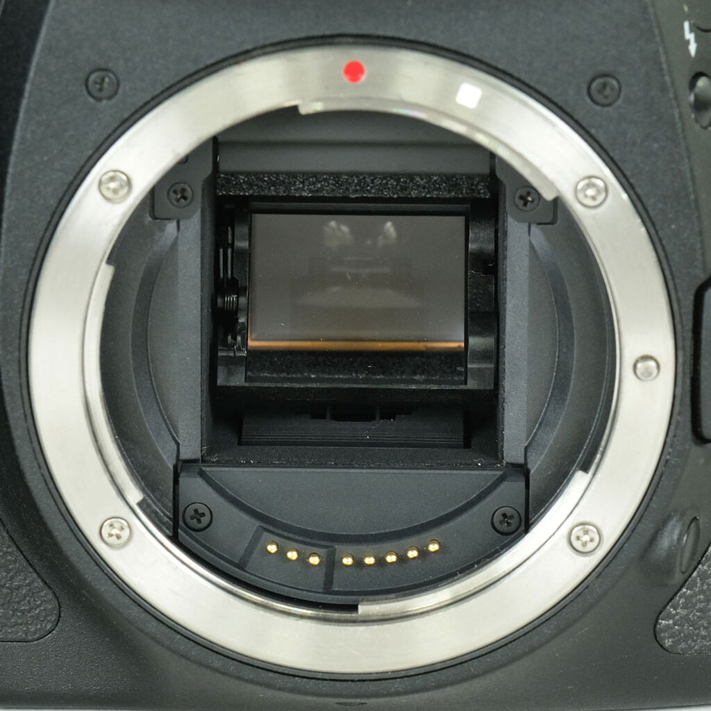 Canon EOS 7D ボディの出品 | ONE SCENE（ワンシーン）