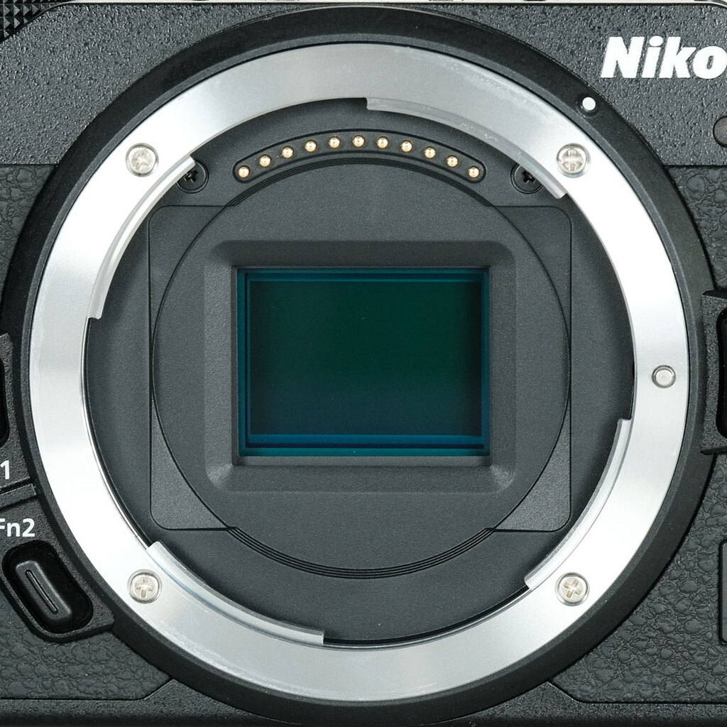 Nikon Z30の出品 | ONE SCENE（ワンシーン）