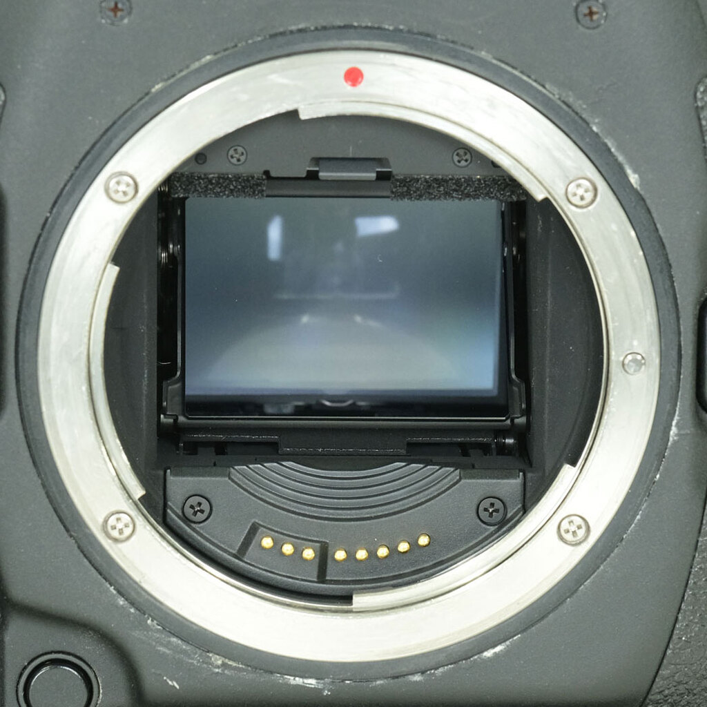 Canon EOS-1D X Mark II