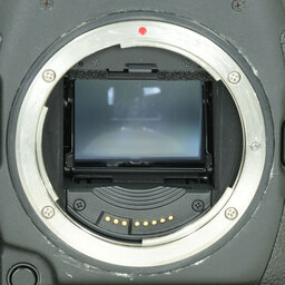 Canon EOS-1D X Mark II