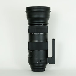 SIGMA 150-600mm F5-6.3 DG OS HSM | Sports [キヤノン用]