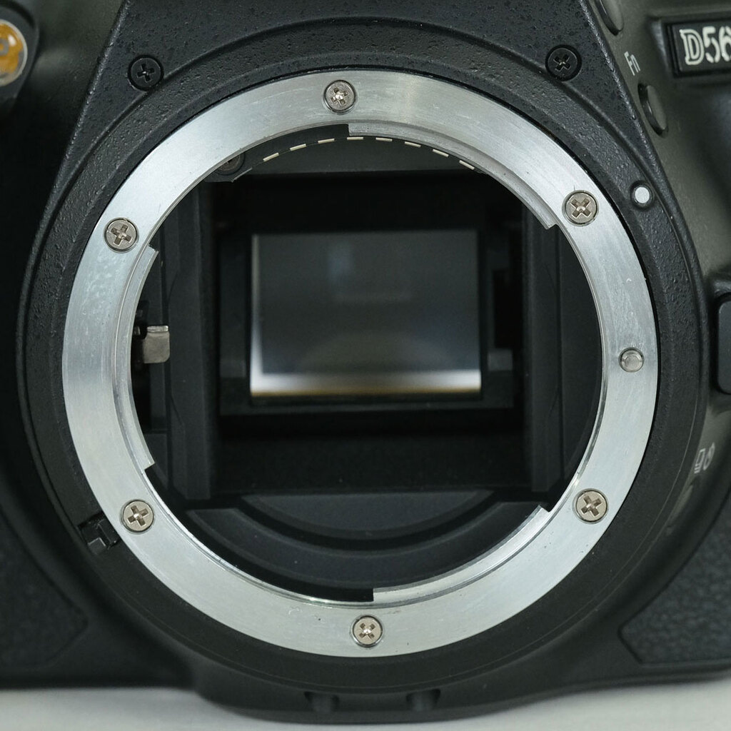 Nikon D5600