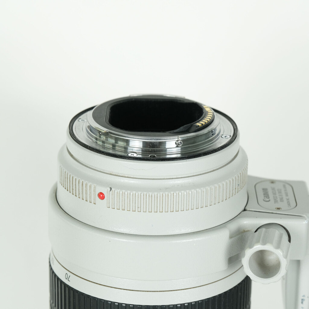 Canon EF70-200mm F2.8L IS III USM