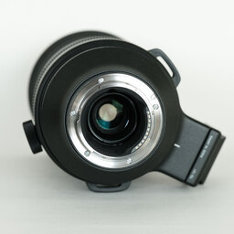 SIGMA 150-600mm F5-6.3 DG DN OS｜Sports [ソニーE用]