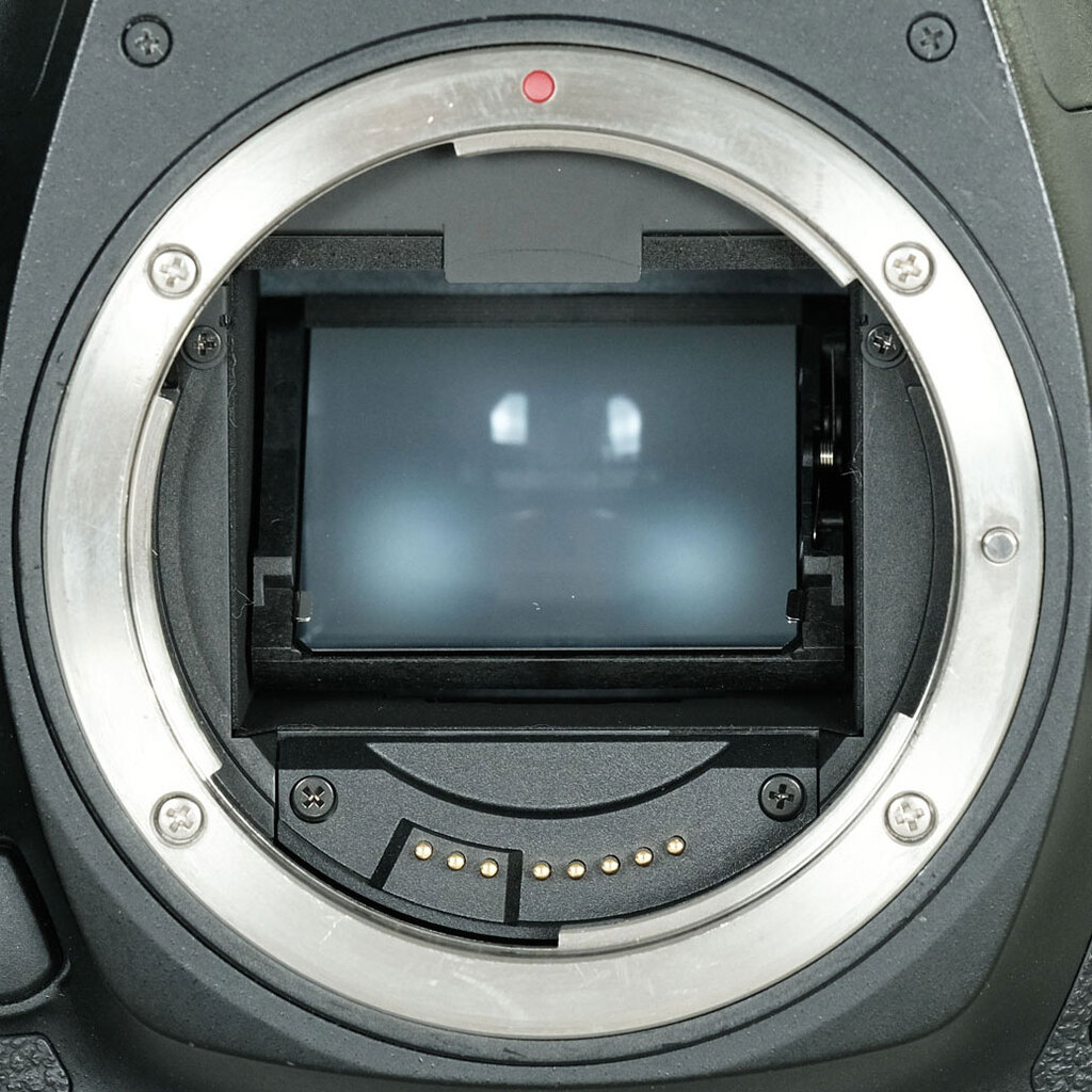 Canon EOS 5D Mark IV