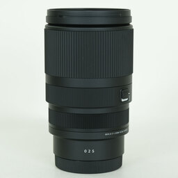 SIGMA 16-300mm F3.5-6.7 DC OS｜Contemporary [ソニーE用]