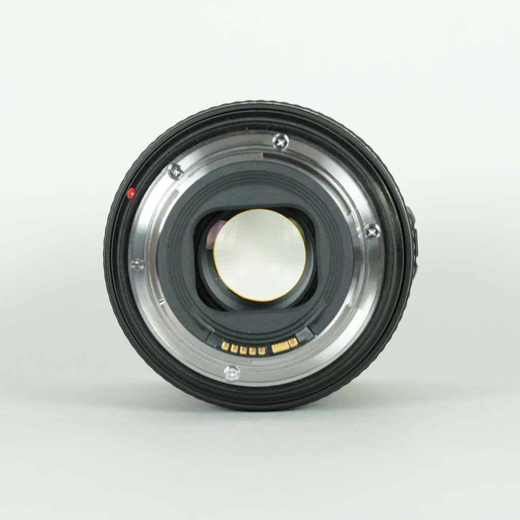 Canon EF24-105mm F4L IS II USM