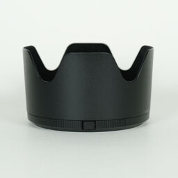 Nikon NIKKOR Z 70-200mm f/2.8 VR S