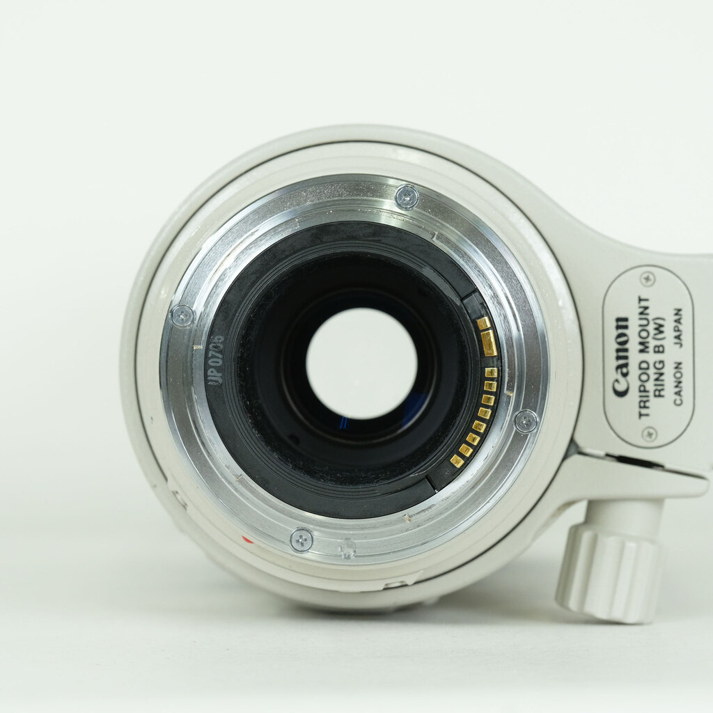 Canon EF100-400mm F4.5-5.6L IS USM
