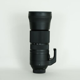 SIGMA 150-600mm F5-6.3 DG OS HSM｜Contemporary [ニコンF用]