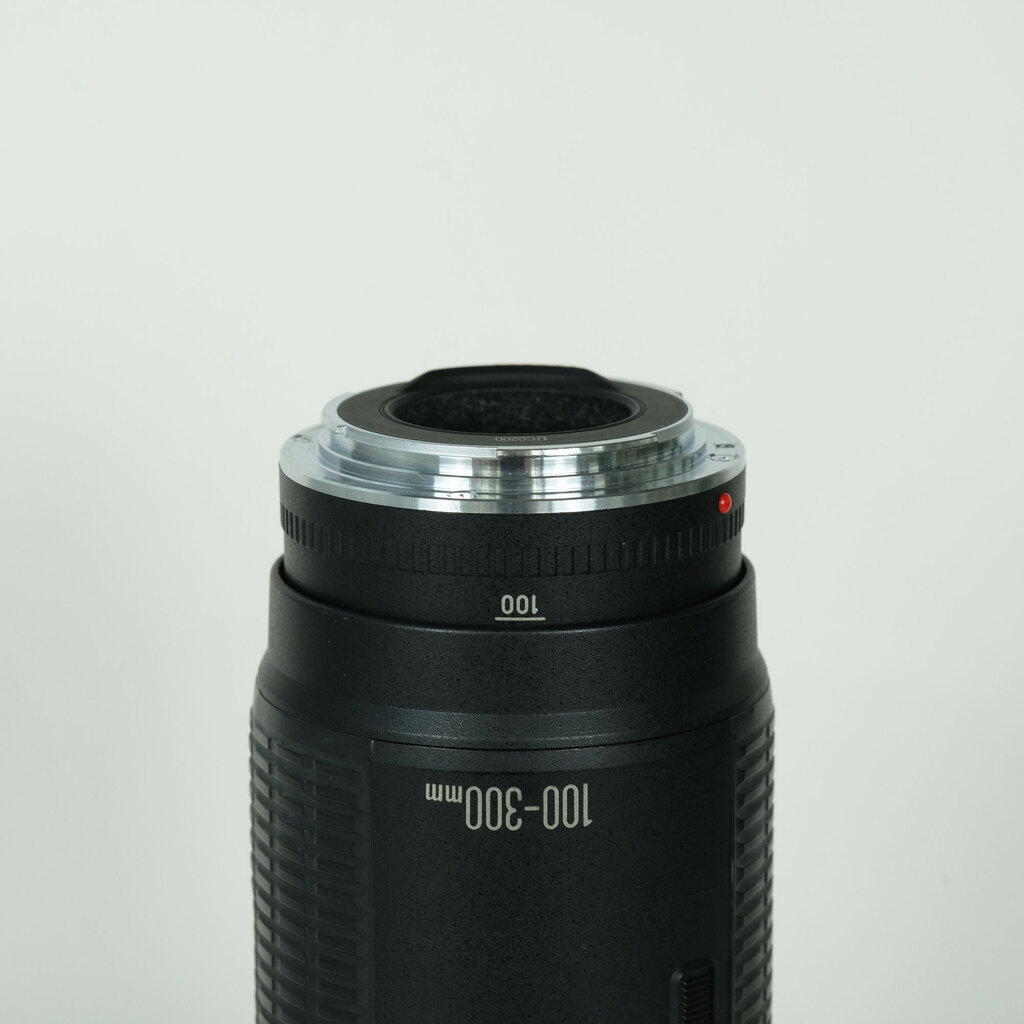 Canon EF100-300mm F5.6Lの出品 | ONE SCENE（ワンシーン）