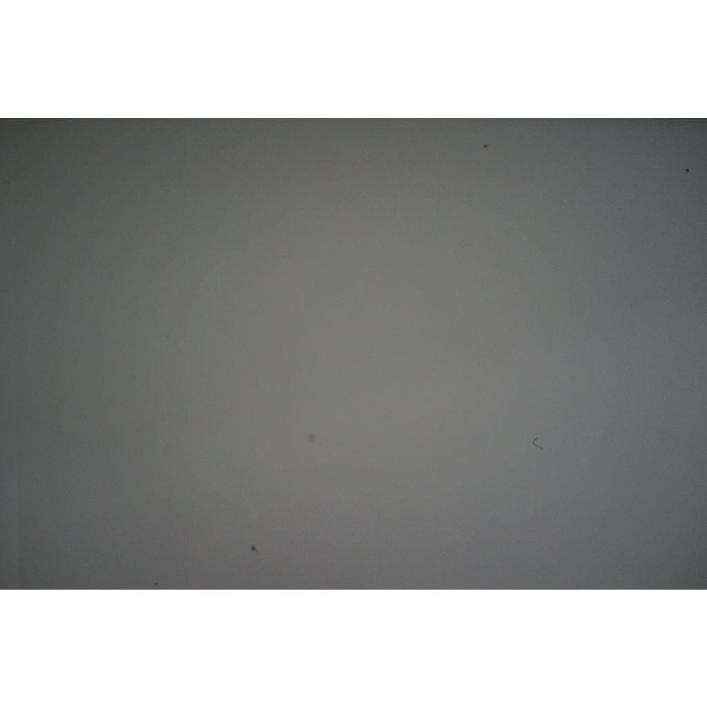 SONY Cyber-shot  DSC-RX1