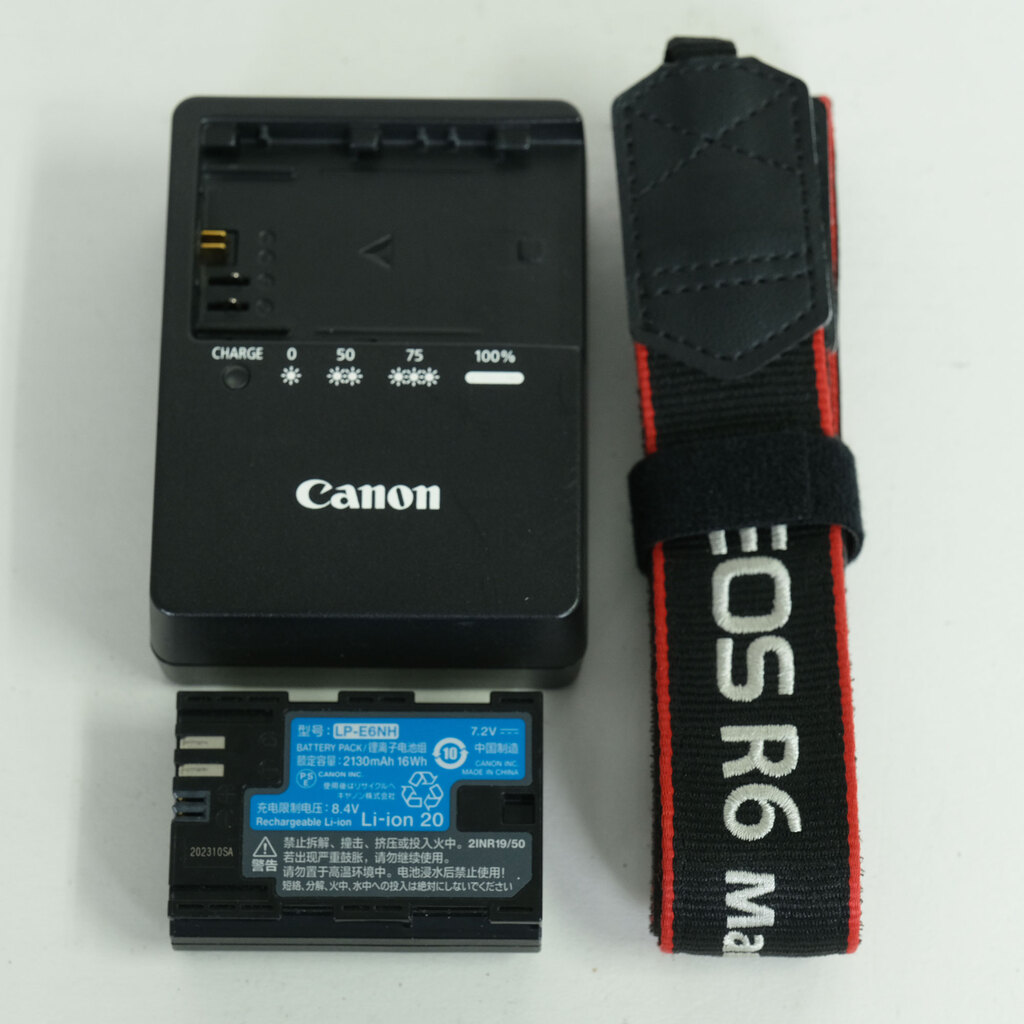 Canon EOS R6 Mark II