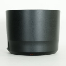 Canon EF100-400mm F4.5-5.6L IS II USM