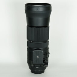 SIGMA 150-600mm F5-6.3 DG OS HSM | Contemporary [キヤノンEF用]
