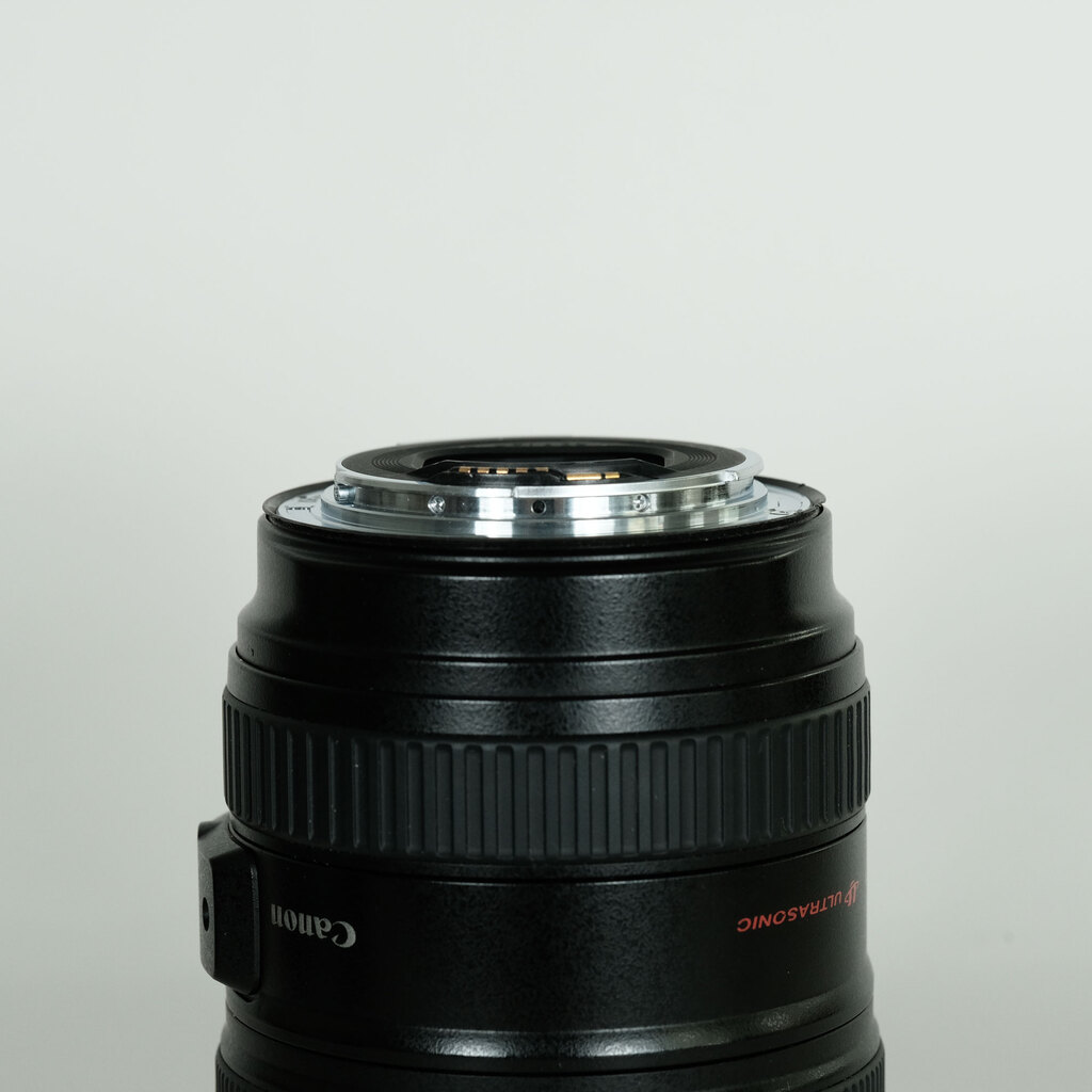 Canon EF24-105mm F4L IS USM
