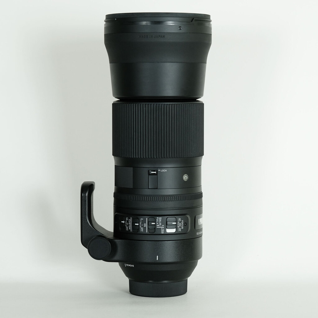 SIGMA 150-600mm F5-6.3 DG OS HSM｜Contemporary [ニコンF用]