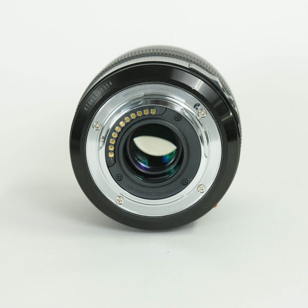 Panasonic LUMIX G X VARIO 12-35mm / F2.8 II ASPH. / POWER O.I.S.