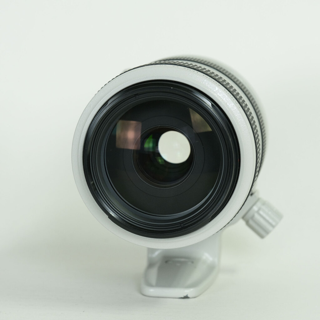 Canon EF70-300mm F4-5.6L IS USM