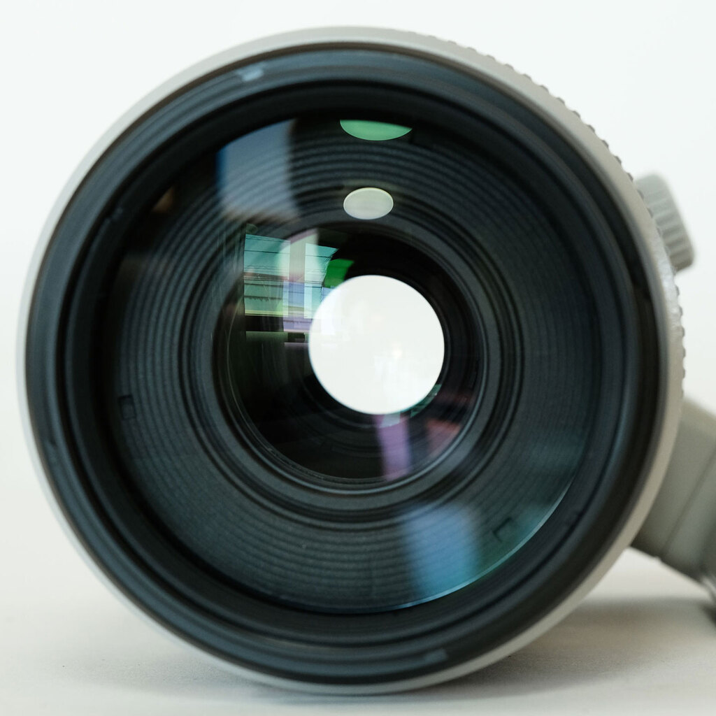Canon EF100-400mm F4.5-5.6L IS II USM