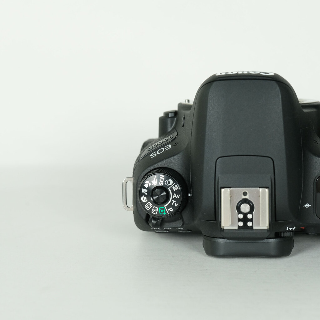 Canon EOS 9000Dの出品 | ONE SCENE（ワンシーン）