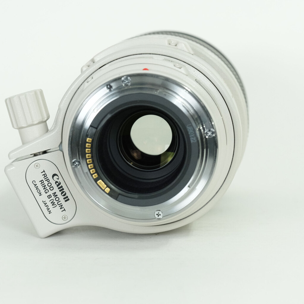 Canon EF100-400mm F4.5-5.6L IS USM