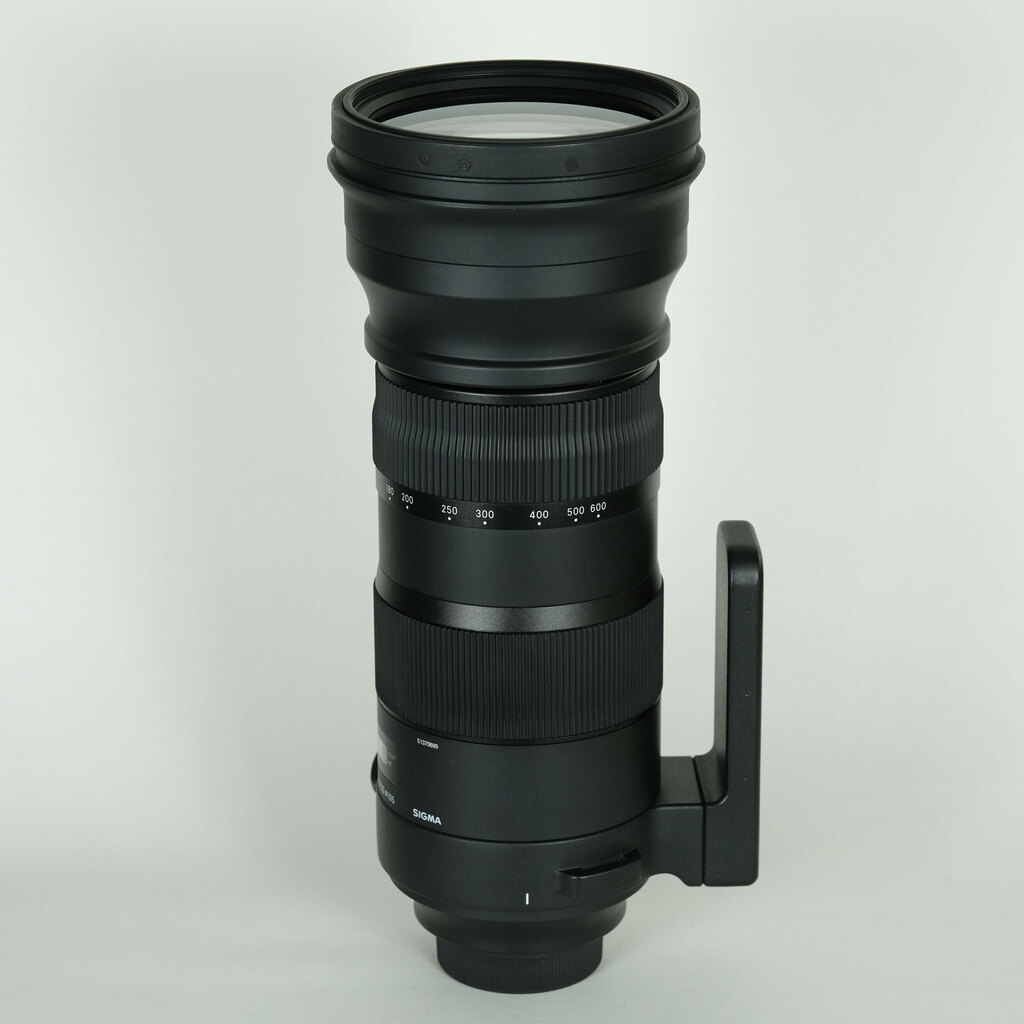SIGMA 150-600mm F5-6.3 DG OS HSM｜Sports [ニコンF用]