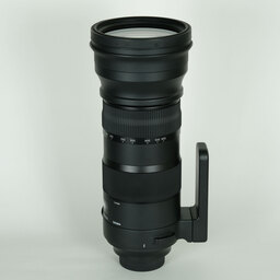 SIGMA 150-600mm F5-6.3 DG OS HSM｜Sports [ニコンF用]