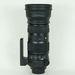 SIGMA 150-600mm F5-6.3 DG OS HSM｜Sports [ニコンF用]