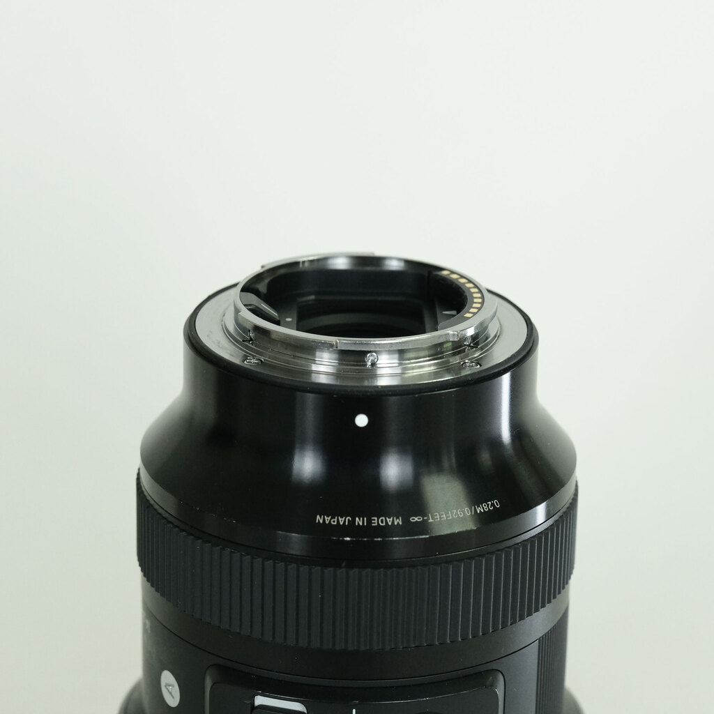 SIGMA 14-24mm F2.8 DG DN｜Art [ソニーE用]