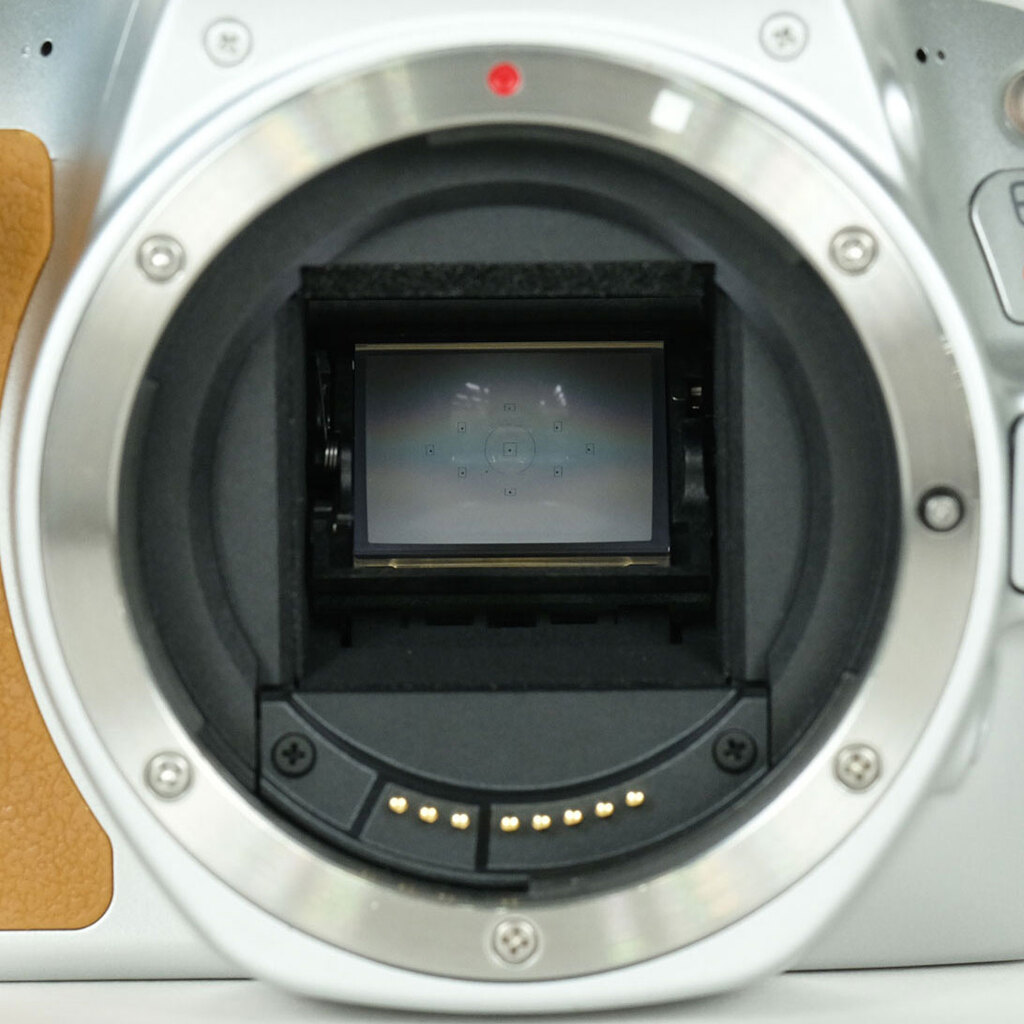 Canon EOS Kiss X9 ボディ シルバーの出品 | ONE SCENE（ワンシーン）