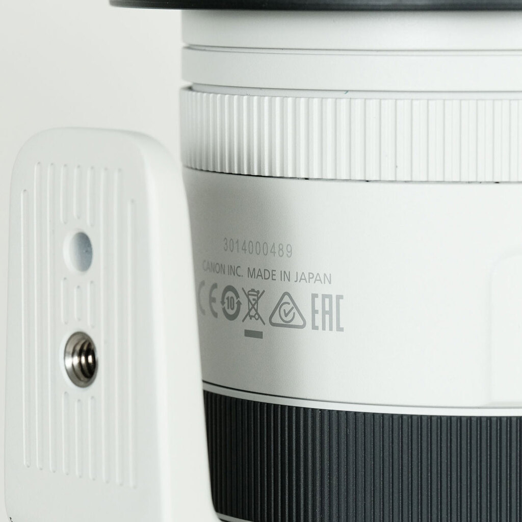 Canon RF100-500mm F4.5-7.1L IS USM