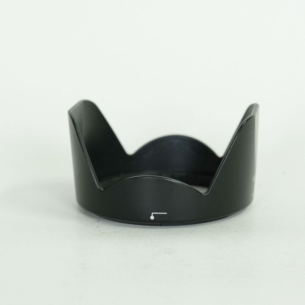 Nikon AF-P DX NIKKOR 18-55mm F3.5-5.6G VR