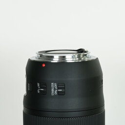 Canon EF70-300mm F4-5.6 IS II USM