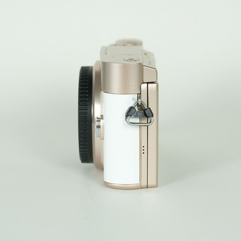 Panasonic LUMIX DC-GF90 �{�f�B �z���C�g