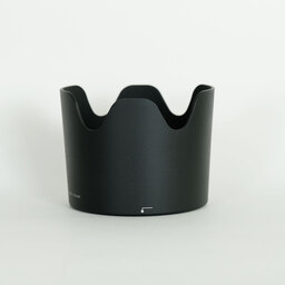 Nikon AF-S VR Zoom-Nikkor 70-300mm F4.5-5.6G IF-ED